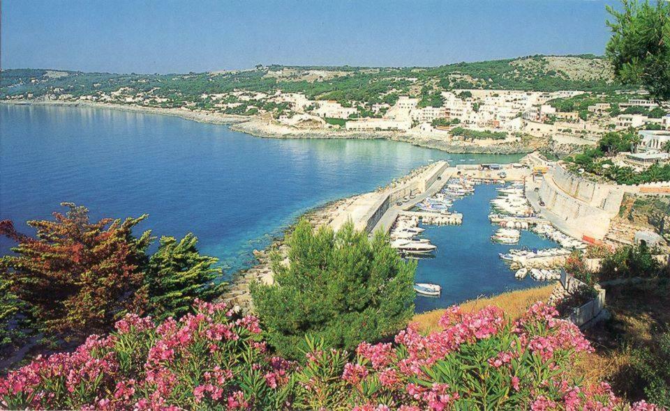 Holiday home Rocco *